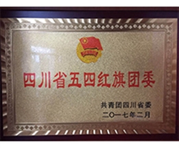 五四紅旗團委