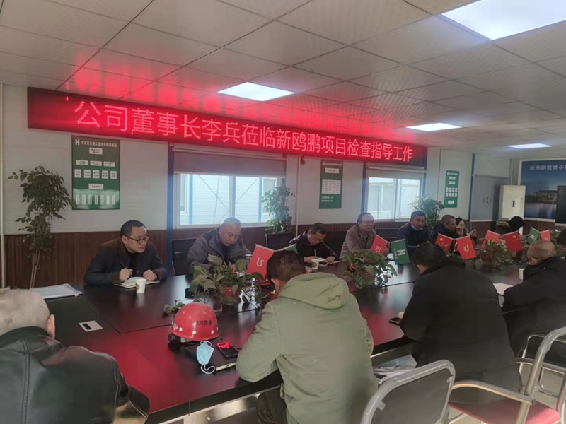 李兵一行到德陽高新區新鷗鵬教育小鎮項目調研指導工作 圖片1_副本